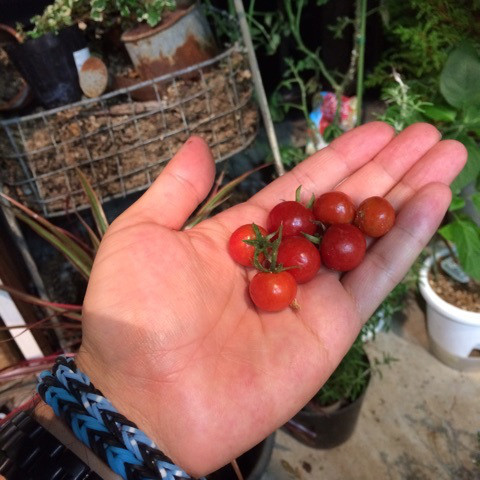 o0480048013697368427