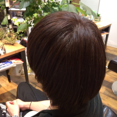 o0480048013697725860