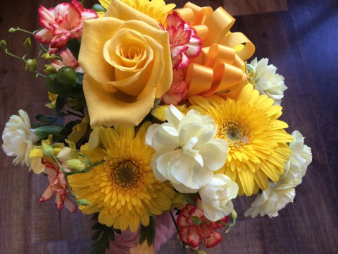 o0480036013763161698