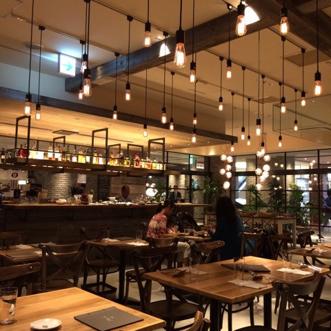 o0480048013699319889