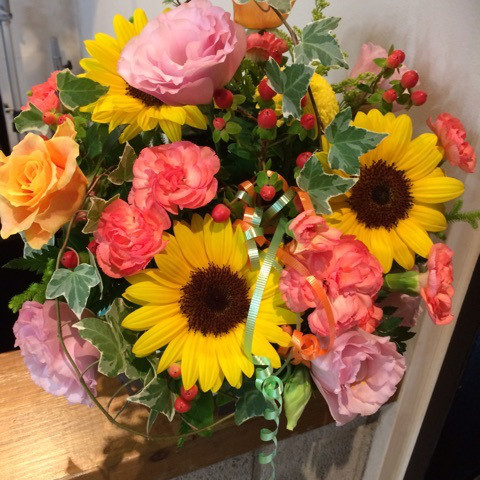 o0480048013757453197