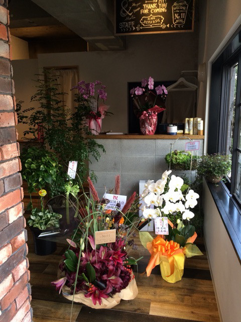 o0480064013440866075